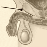 Thumbnail of post image 038