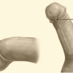 Thumbnail of post image 071